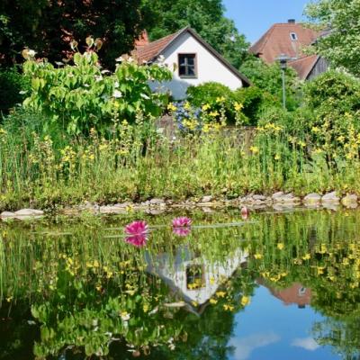Gartenteich